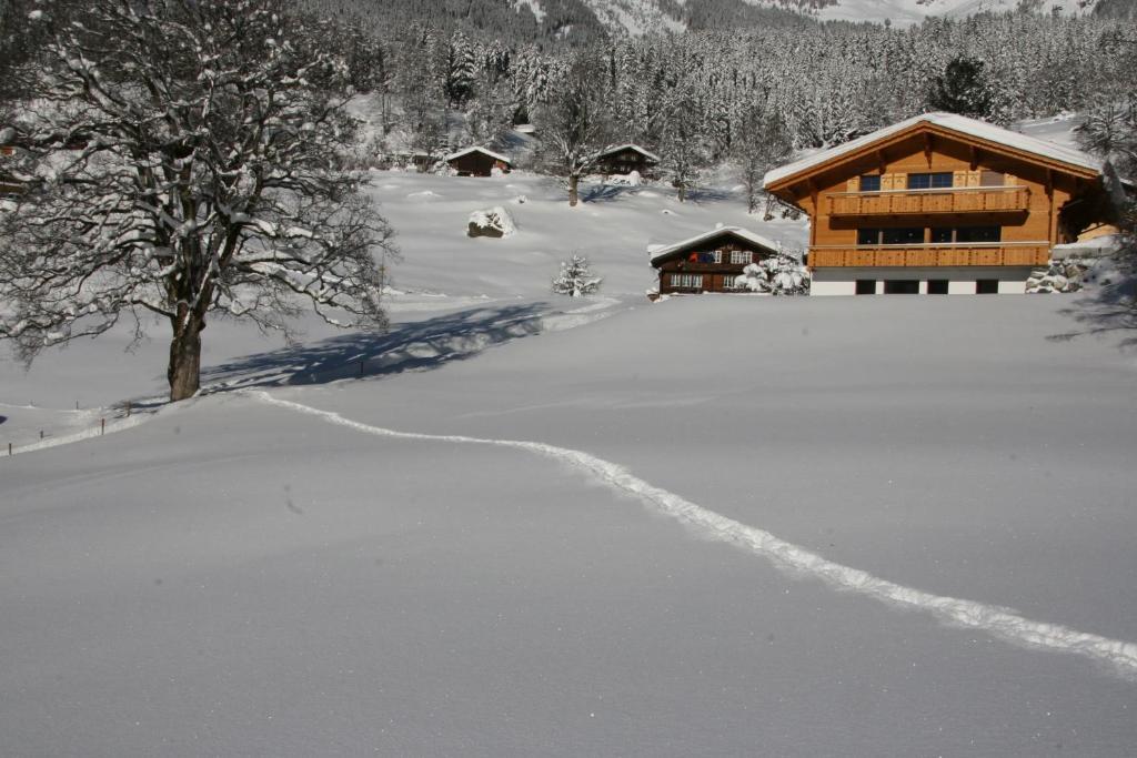 Chalet Baergbaechli Grindelwald Bagian luar foto