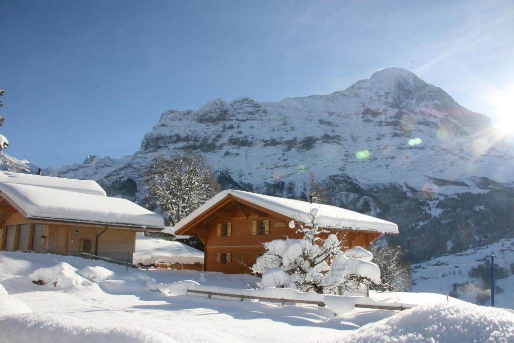 Chalet Baergbaechli Grindelwald Bagian luar foto