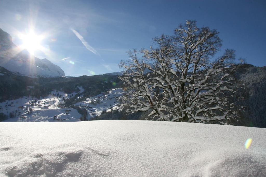 Chalet Baergbaechli Grindelwald Bagian luar foto