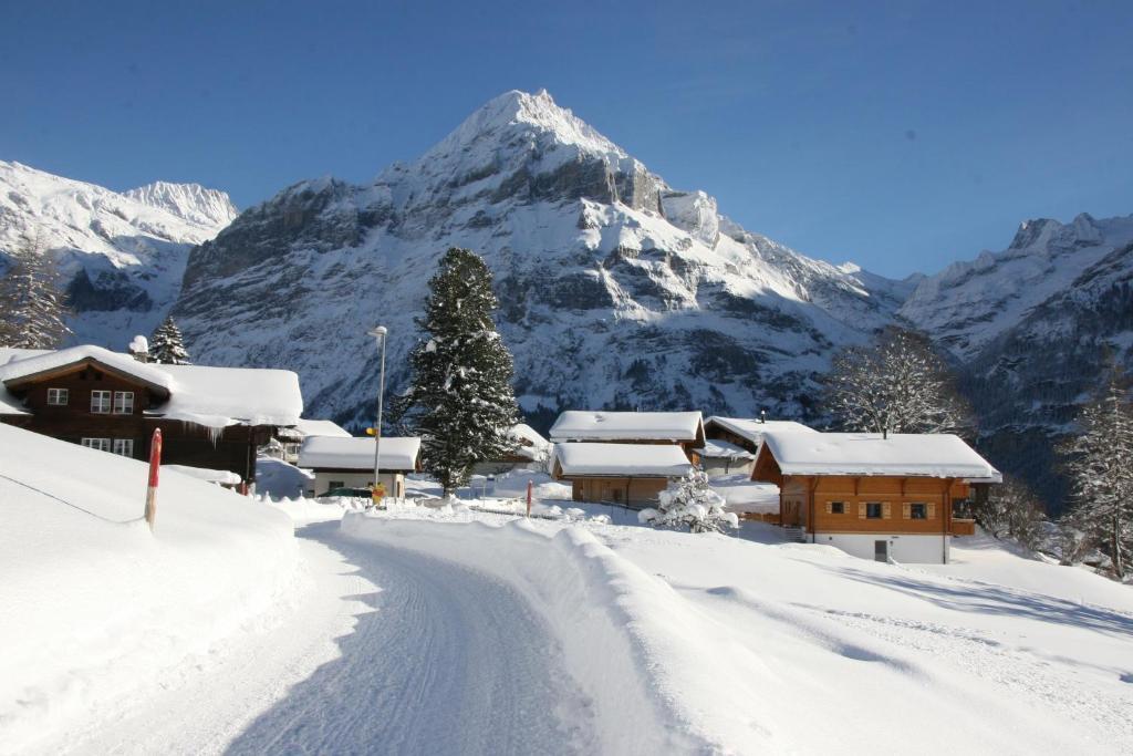Chalet Baergbaechli Grindelwald Bagian luar foto