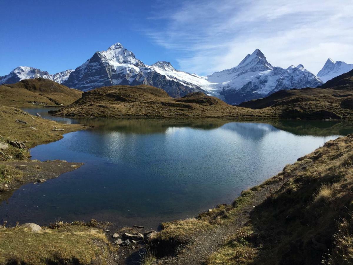 Chalet Baergbaechli Grindelwald Bagian luar foto
