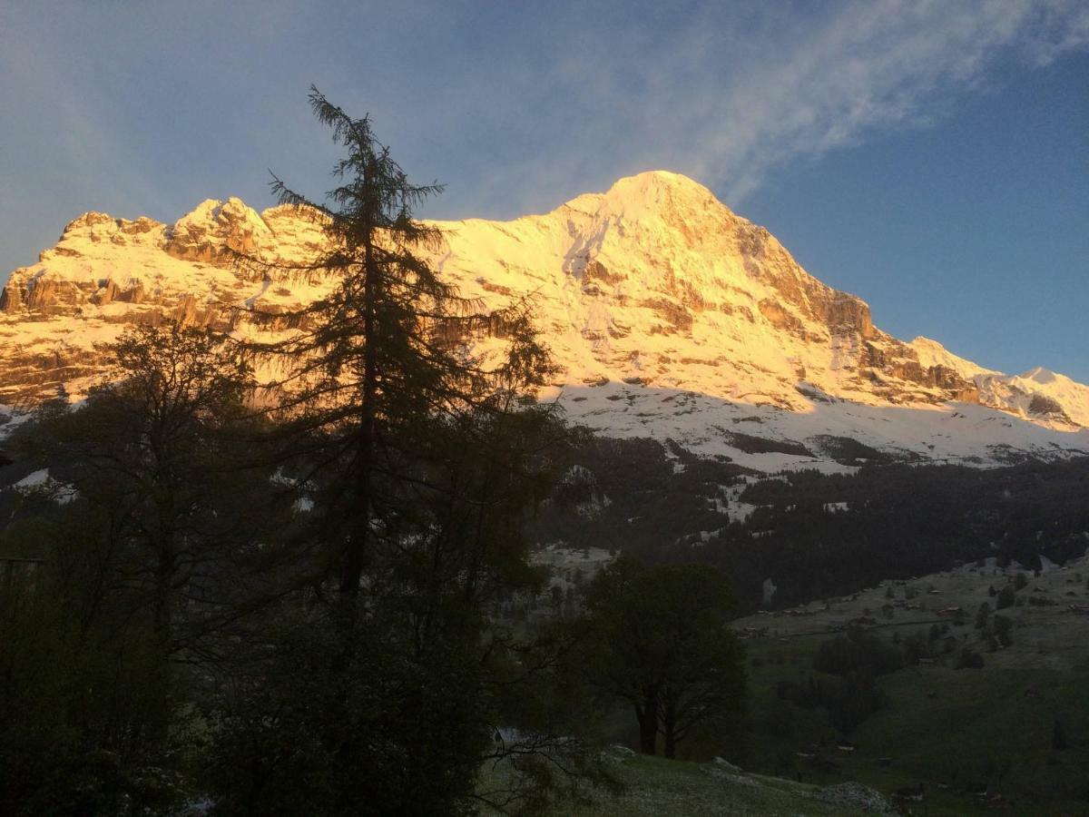 Chalet Baergbaechli Grindelwald Bagian luar foto